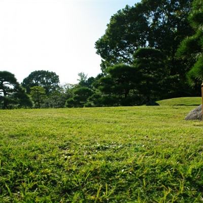 北京列入圆明园等421处！三山五园传统地名保护名录发布