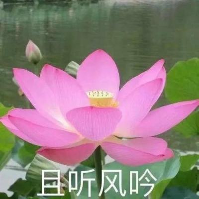 《冰球小课堂》第五集：滑行技术-压步