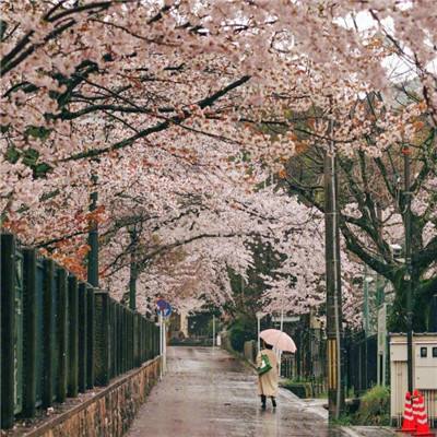 艰险冲在前 风雨见本色